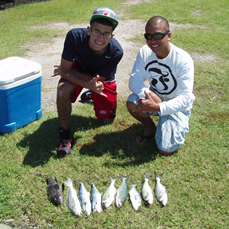 Oddfish