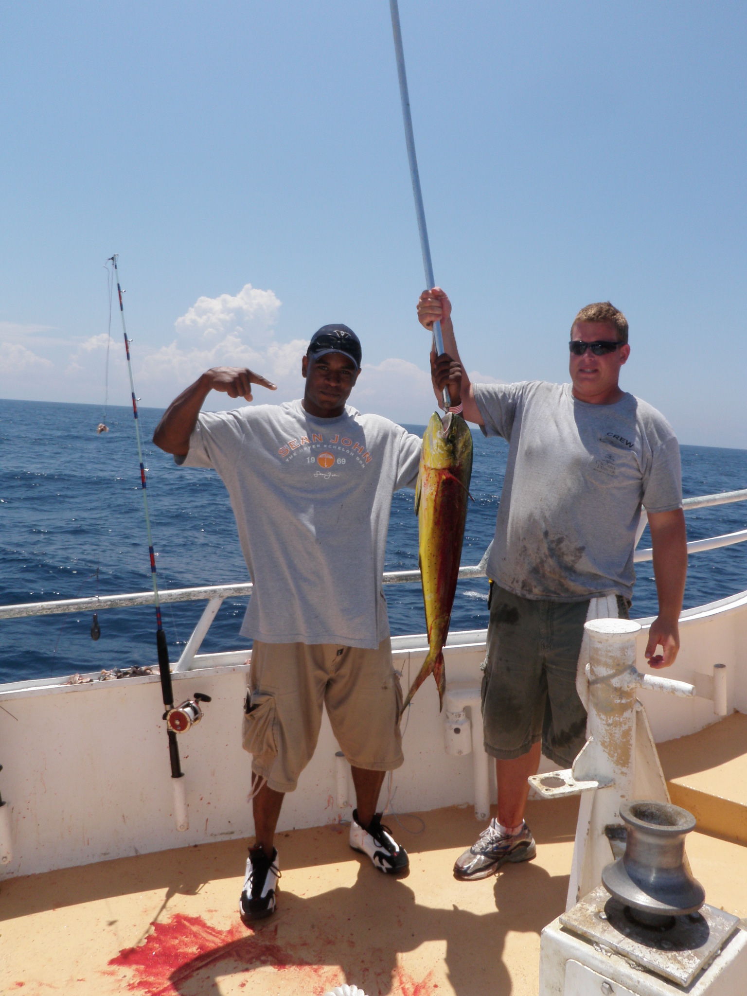 Mahi